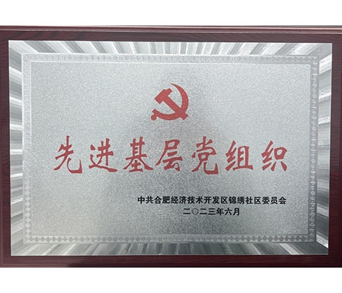 20230701先進(jìn)基層黨組織