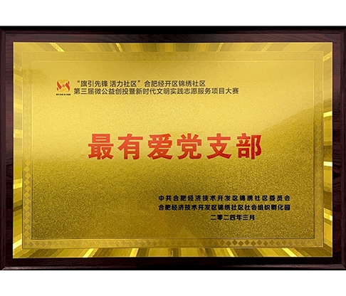 合肥經(jīng)濟(jì)技術(shù)開(kāi)發(fā)區(qū)錦繡社區(qū)最有愛(ài)黨支部_00