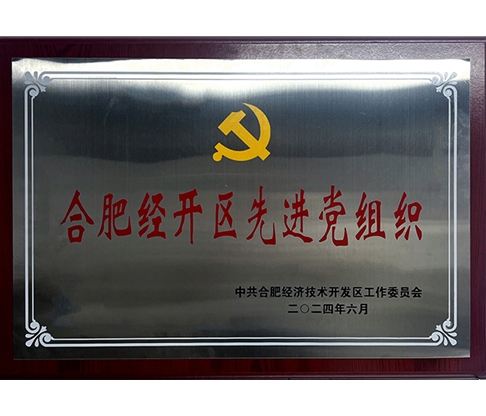 經開區先進基層黨組織