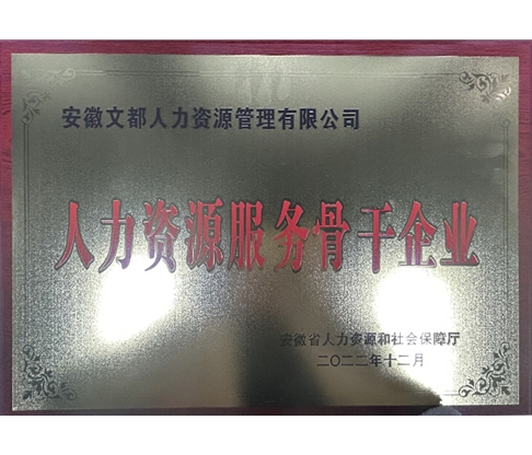 安徽省人力資源骨干企業