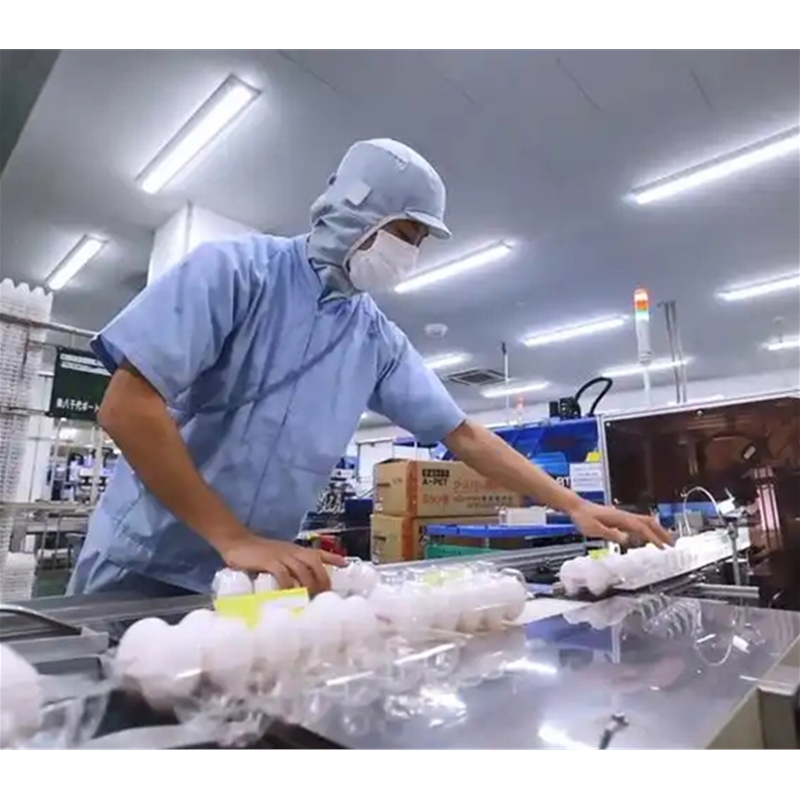 文都境外勞務(wù)派遣